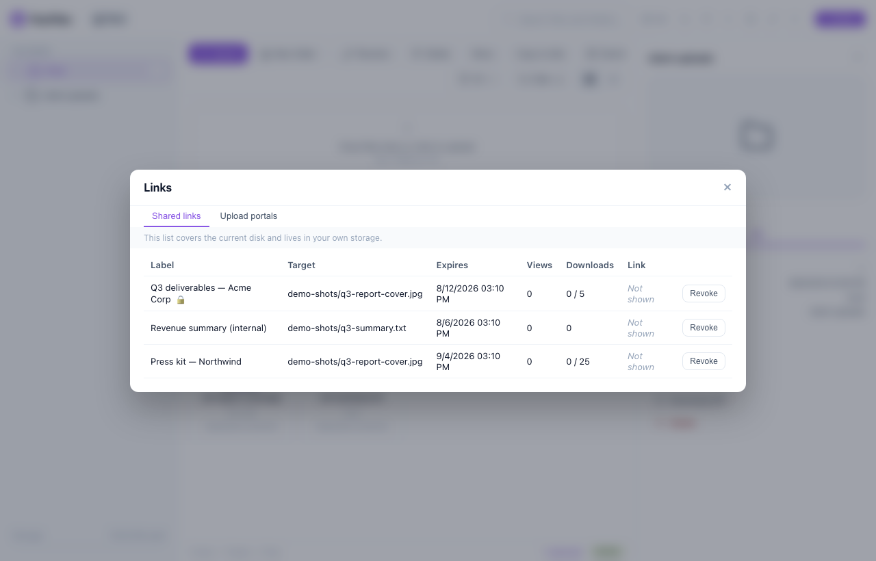 FluxFiles links panel listing shared links with views, downloads and revoke